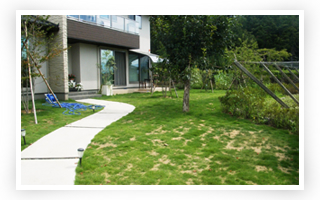 お庭、樹木の手入れ