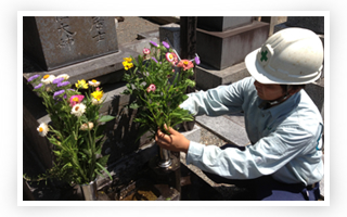 お墓のお手入れ、その他