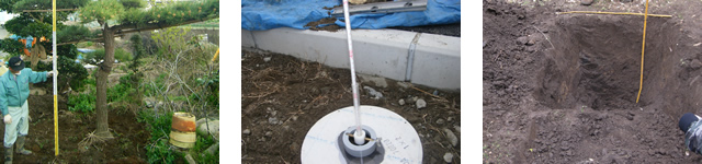 現地調査イメージ