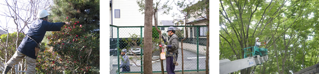 手入れイメージ