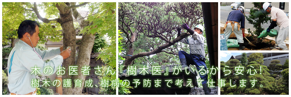 樹木1本からお気軽に…丁寧な仕事と 樹木医の専門的アドバイスで お庭づくりをサポート！