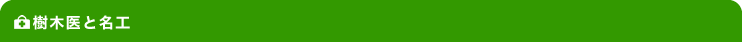 樹木医だからできること
